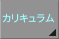 カリキュラム