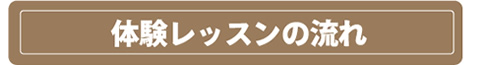 体験レッスンの流れ